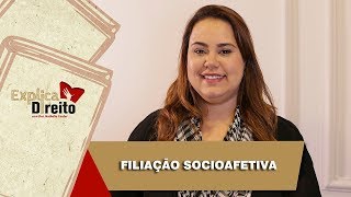 Explica Direito Filiação Socioafetiva  2019 [upl. by Asiela]